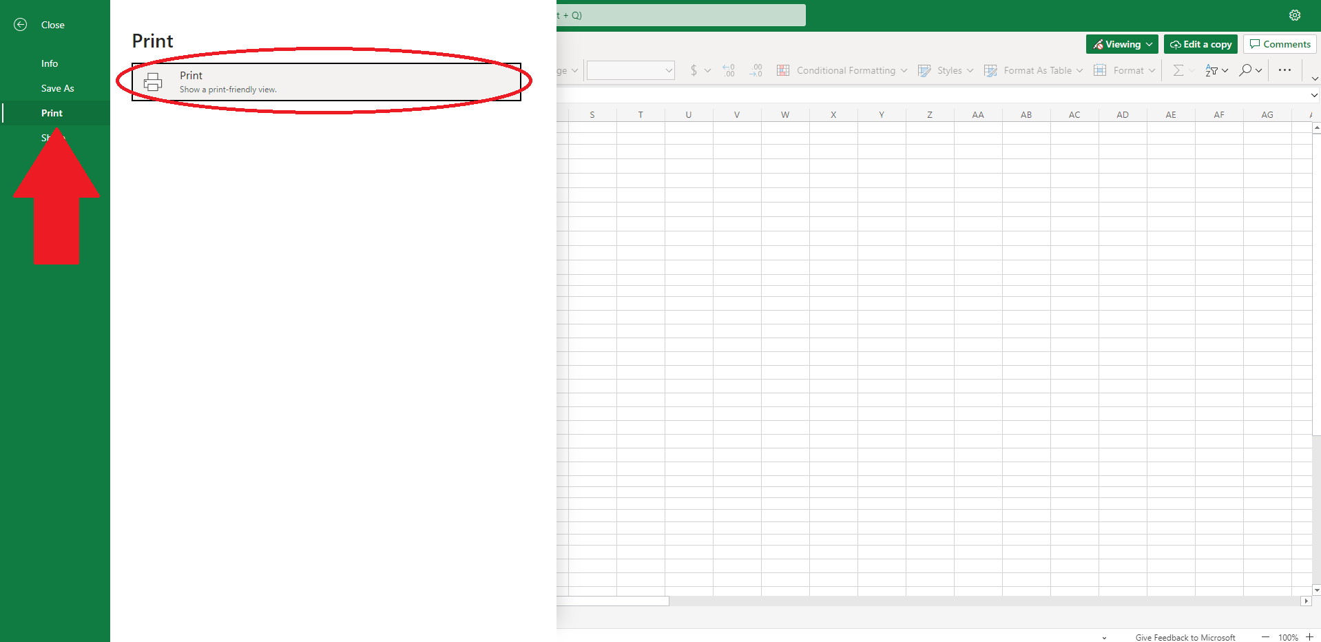 Excel Web-Viewer Text-Error Workaround – Flashtract